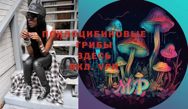 соль ск Богданович