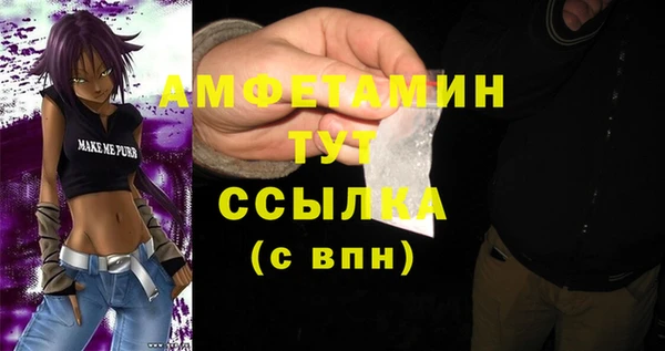 соль ск Богданович