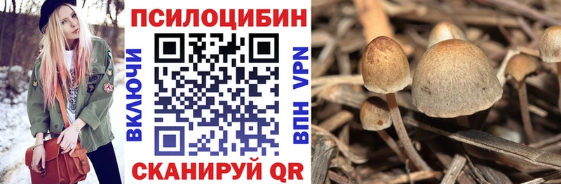 Псилоцибиновые грибы мухоморы  Кемерово 
