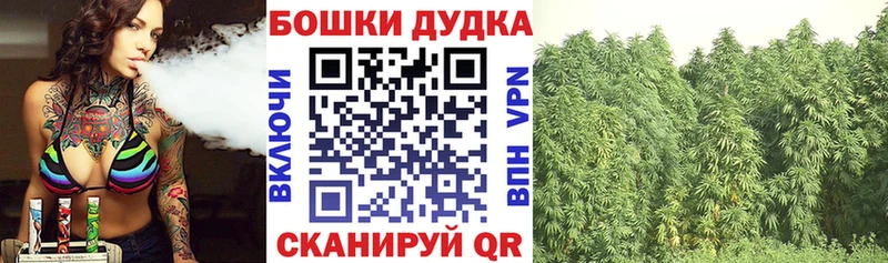 Бошки Шишки семена  omg как зайти  Кемерово  наркошоп 
